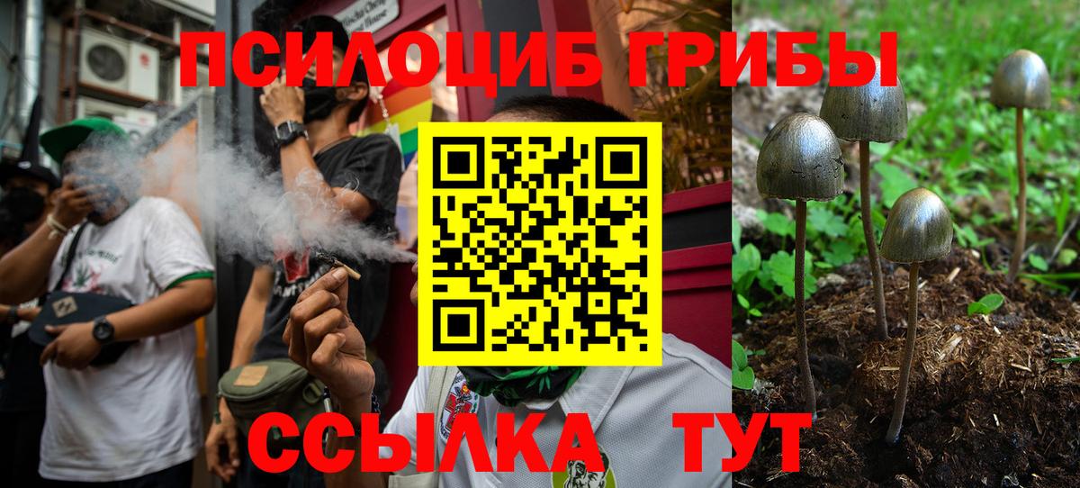 Псилоцибиновые грибы GOLDEN TEACHER  Вход с VPN  Асино 